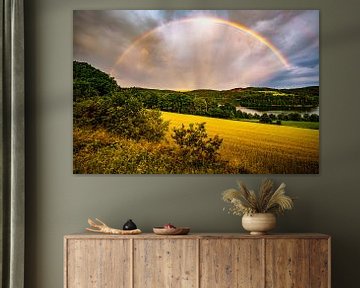Rainbow von Joris Machholz