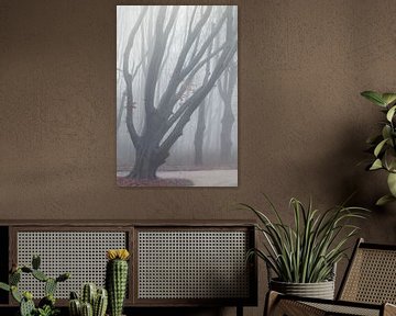 Baum im Nebel von Thijs Friederich