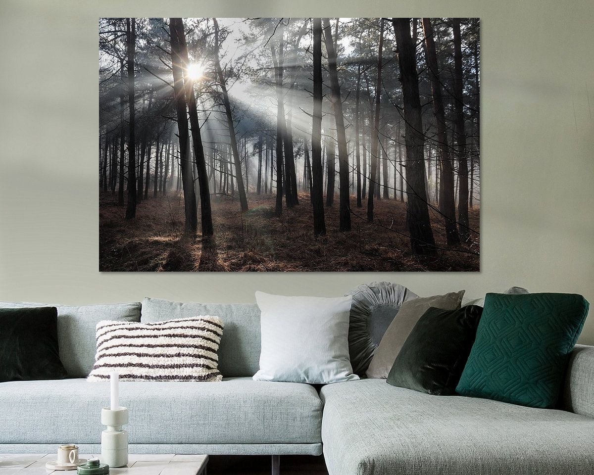 Raumvorschau