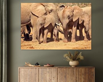 Elephant with baby by Nicole Jagerman