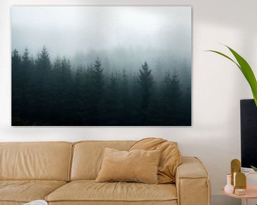 Foggy forest von Joris Machholz
