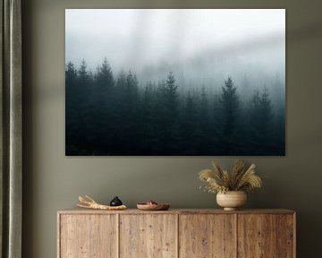 Foggy forest von Joris Machholz