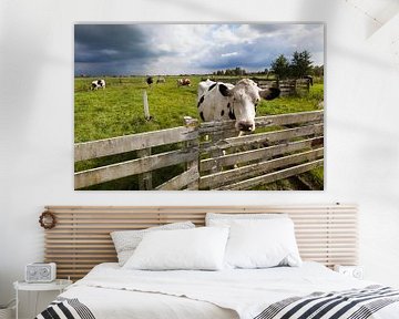 Koeien in de wei in Nederland van Peter de Kievith Fotografie