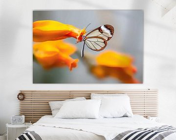 Glasflügler Schmetterling - Glasflügler Schmetterling von Albert Beukhof