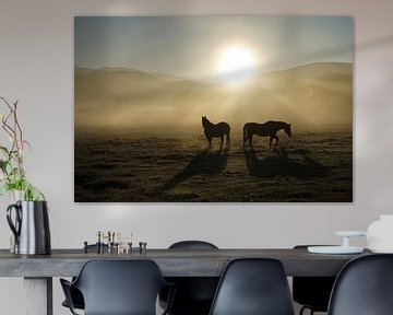 Paarden in Montana 2 van Jan-Thijs Menger