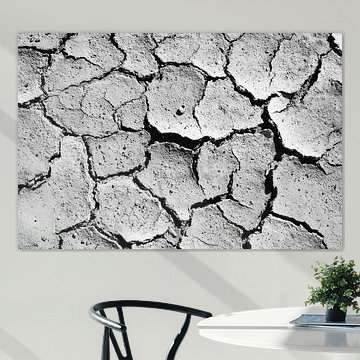 Droog zand en één slakkenhuis