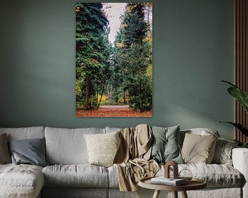 Doorkijkje tussen de dennenbomen