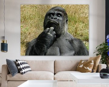 Gorrila Man