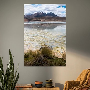 Het Andes gebergte op zijn mooist