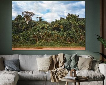 Amazone regenwoud van Prints by Abigail Van Kooten