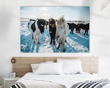 IJslandse paarden in winterlandschap van Prints by Abigail Van Kooten