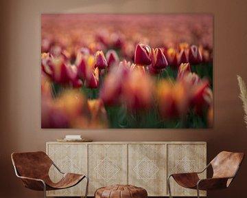 Tulpen van Peter Weideman