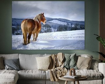 Paard in de sneeuw van Björn Jeurgens