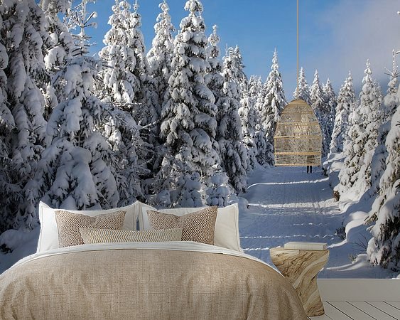 Aperçu de la chambre