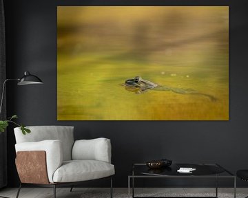 Frosch im Wasser von Tanja van Beuningen
