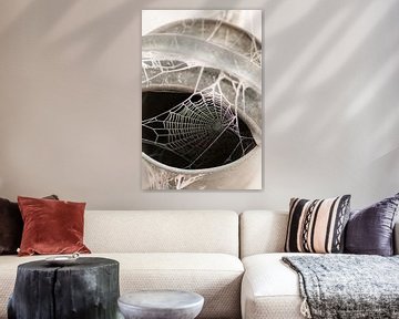 Spinnenweb in gieter met rijp op boerenerf van Sandra Koppenhöfer