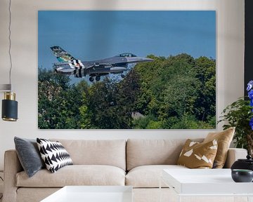 Belgain Air Force van Jan De Clercq