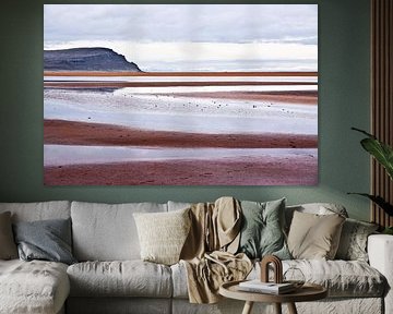 Rood zandstrand IJsland