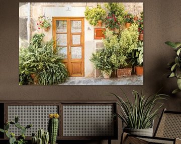 Urban Jungle in the streets of Valldemossa by Evelien Oerlemans