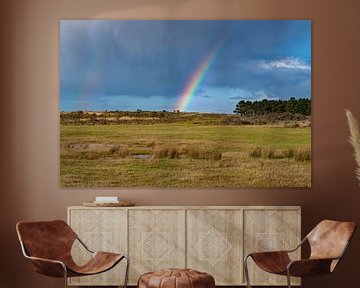 Regenboog boven de Amsterdamse Waterleidingduinen van Discover Dutch Nature