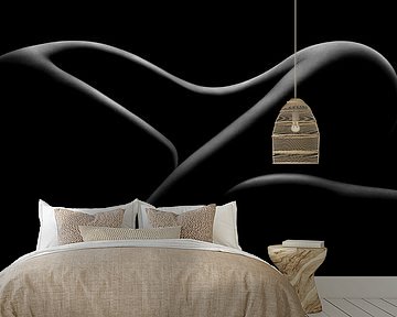 Bodylines-1 by Bodo Gebhardt