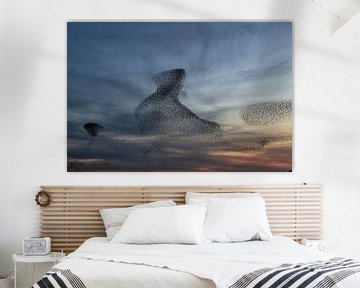 Starling swarm by Henk Bogaard