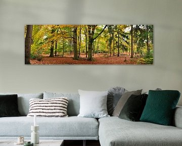 Autumn at the Lage Vuursche by Corinne Welp