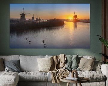 Ducks and coots on the ice near the windmills in Kinderdijk by Rene Siebring