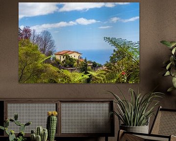 Vue d'une maison à Funchal sur l'île de Madère sur Rico Ködder