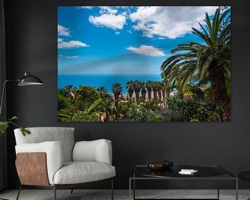 View of palm trees in Funchal on Madeira Island by Rico Ködder