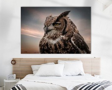 Dreamy owl by Marjolein van Middelkoop