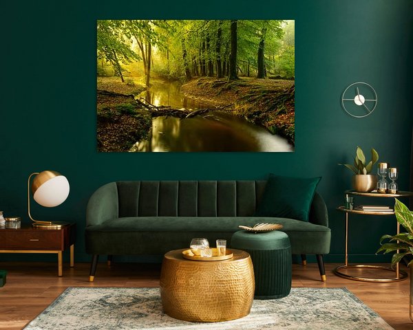 Creek in a Beech tree forest during early autumn