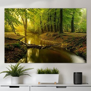 Leuvenumse Beek in het Leuvenumse bos op een vroege herfst ochtend van Sjoerd van der Wal Fotografie