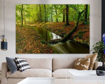 Ruisseau dans une forêt de hêtres au début de l'automne sur Sjoerd van der Wal Photographie