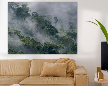 Mist in the mountains of the Atlantic rainforest by Thijs van den Burg