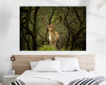 Hirsche im Wald von Vincent Keizer