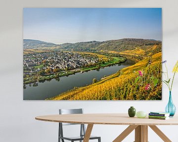 Pünderich sur la Moselle, avec les vignes aux couleurs de l'automne.
