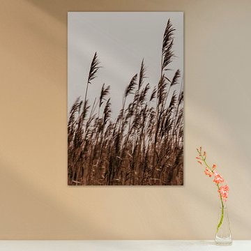 Anche ludique. Photographie d'art. Photo en couleur. Les tons de la terre.