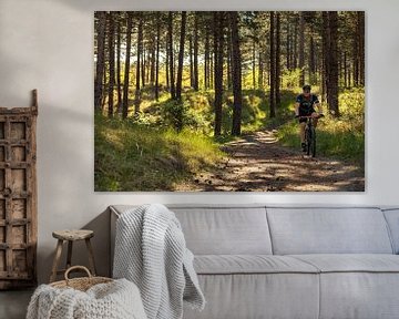 Mountainbiker im Kiefernwald von Percy's fotografie