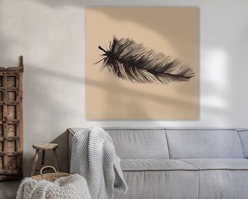 Digital artwork of a feather by Emiel de Lange