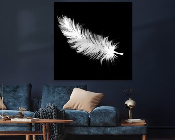 Black and white down feather artwork by Emiel de Lange