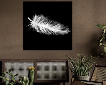 Down feather on black background by Emiel de Lange