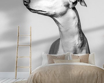 Künstlerisches minimalistisches Porträt eines Windhundes von Lotte van Alderen