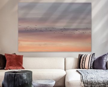Vliegende vogels. Zonsondergang. Pastelkleuren. Fine art fotografie. van Quinten van Ooijen