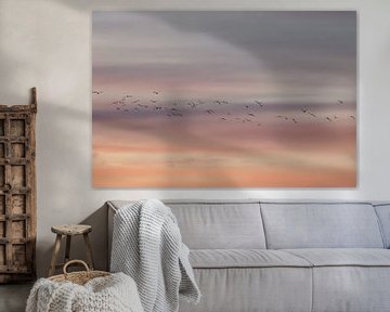 Vliegende vogels. Zonsondergang. Pastelkleuren. Fine art fotografie. van Quinten van Ooijen