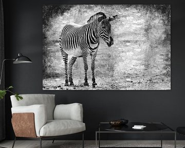 Zebra (zwart-wit, schilderij)