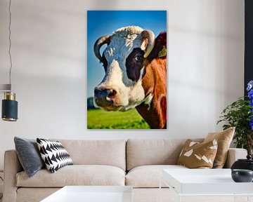Een koe portret van WeVaFotografie