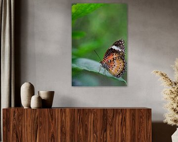 Butterfly on a leaf sur Sandra de Heij