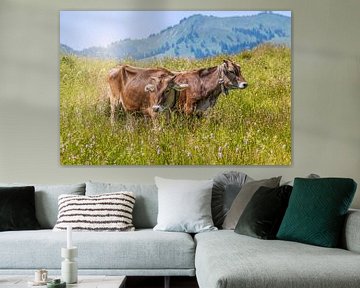 Kühe auf der Weide von Thomas Heitz