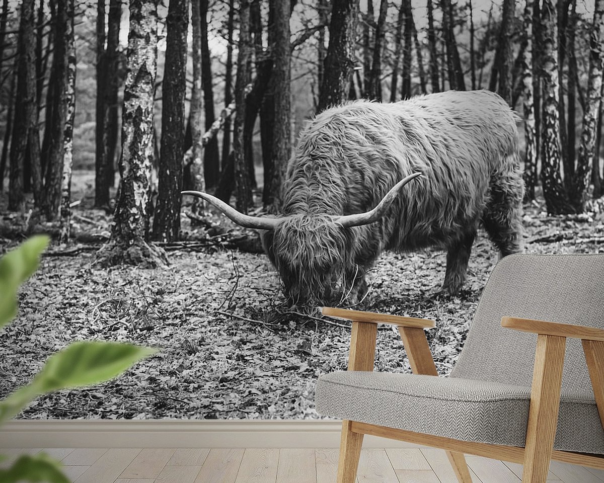 Raumvorschau